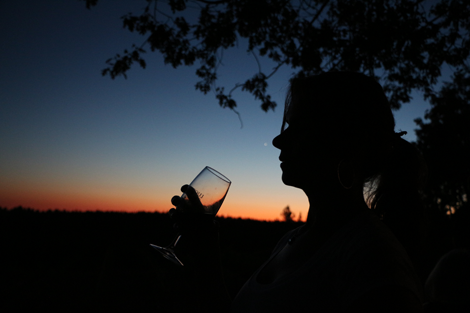 Sunset in the distance and a silhouette of a woman with a wine glass.